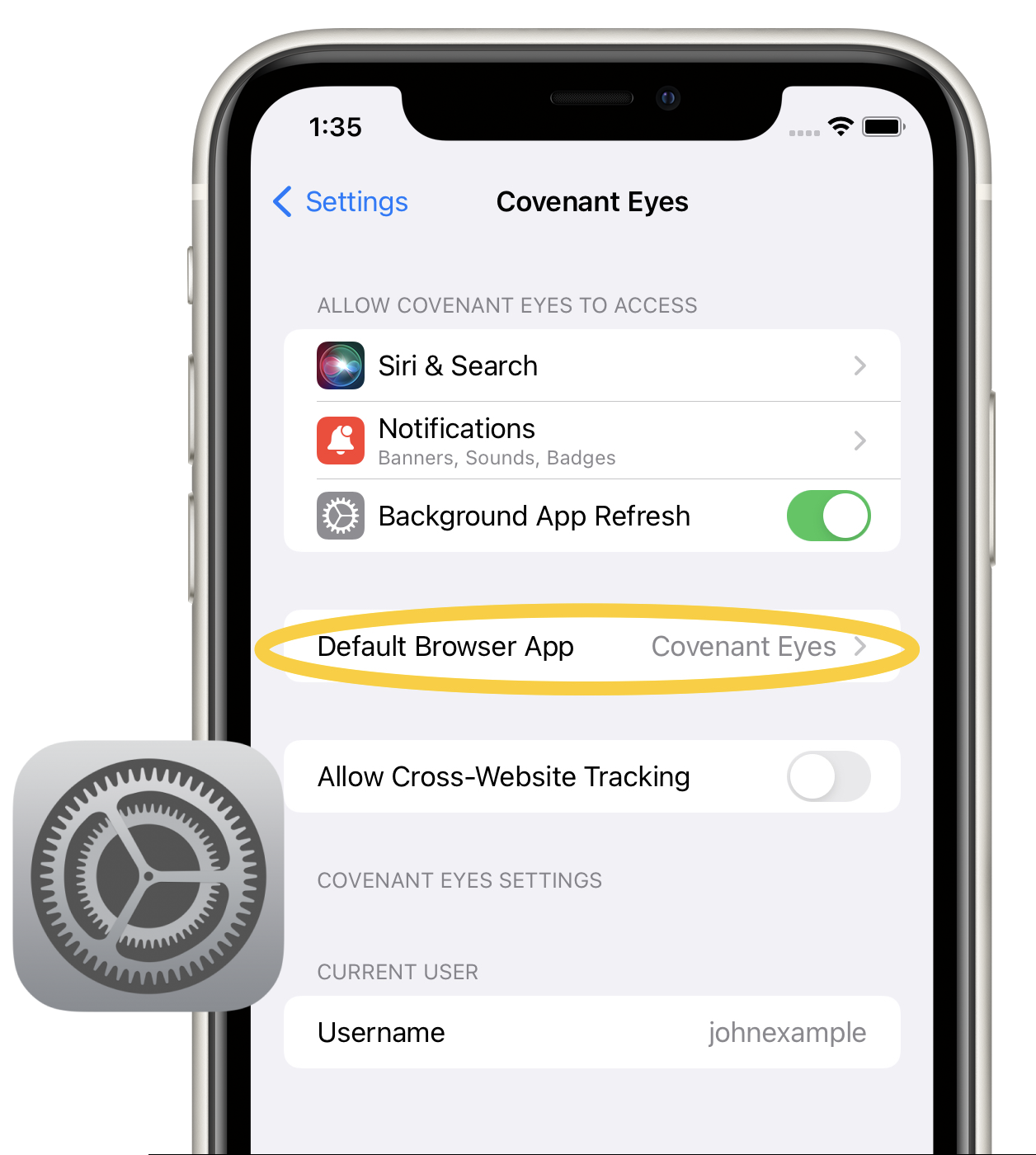 Default_Browser_on_iOS_Device.png