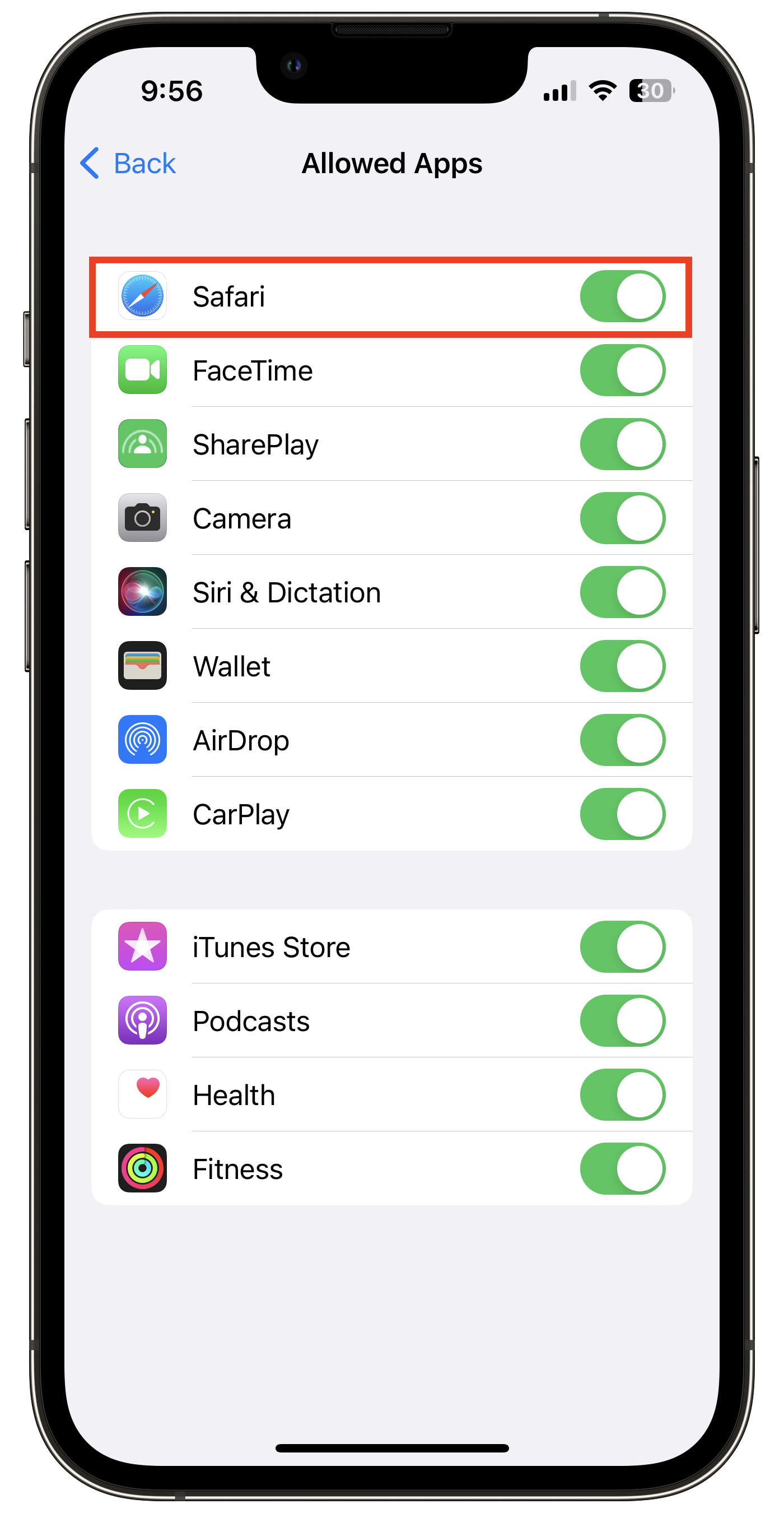Screen