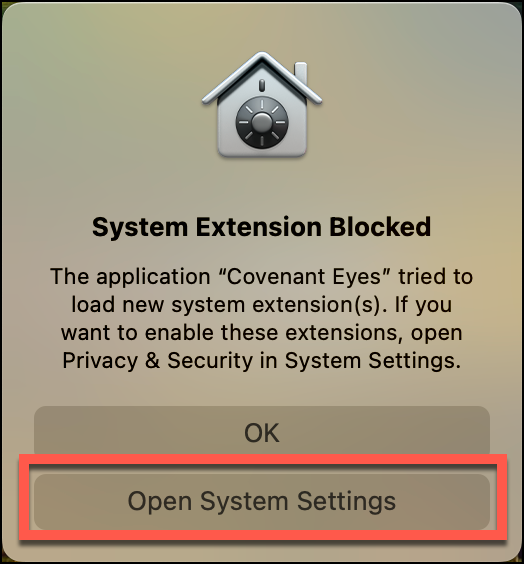 System Extension Blocked.png