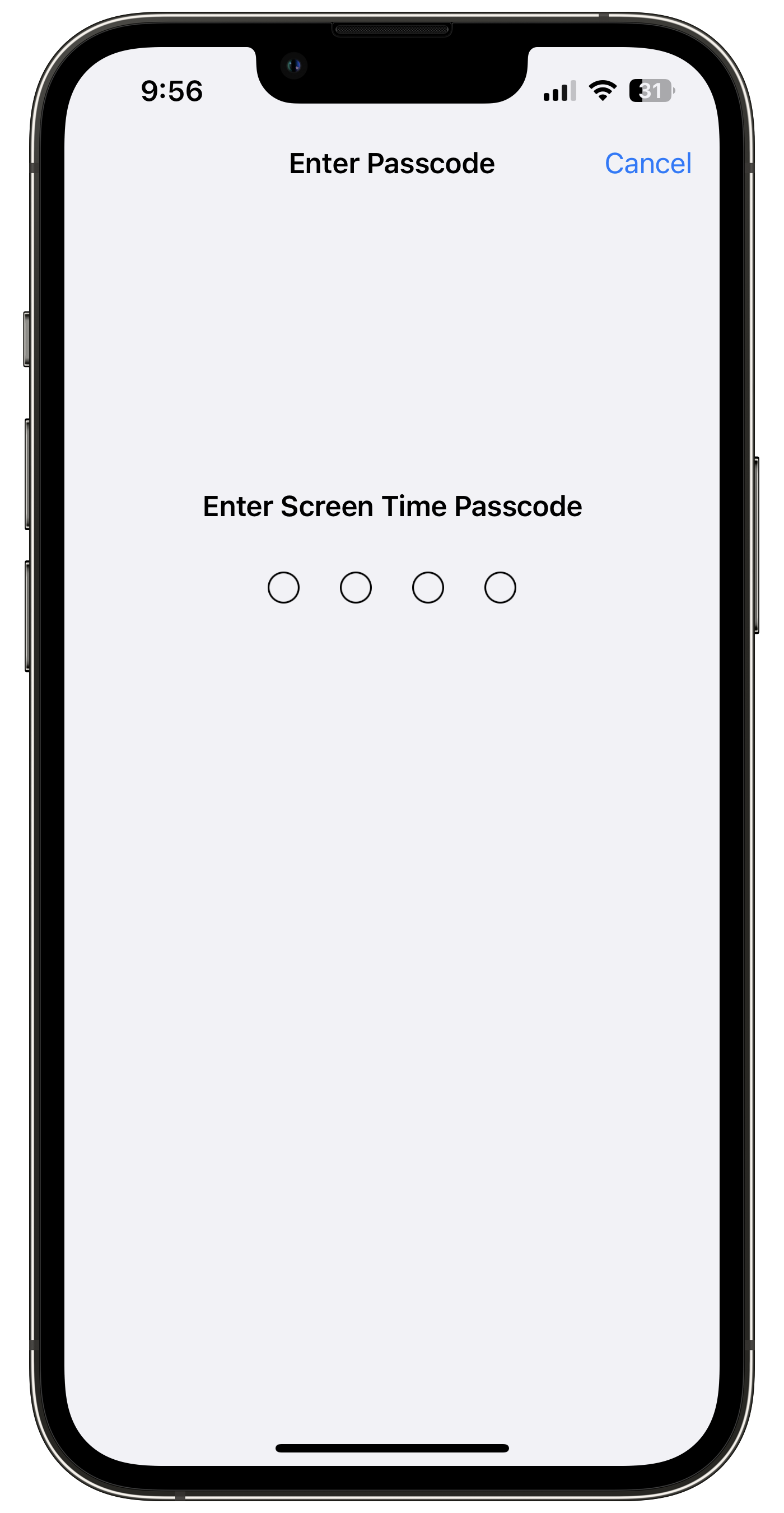 Screen