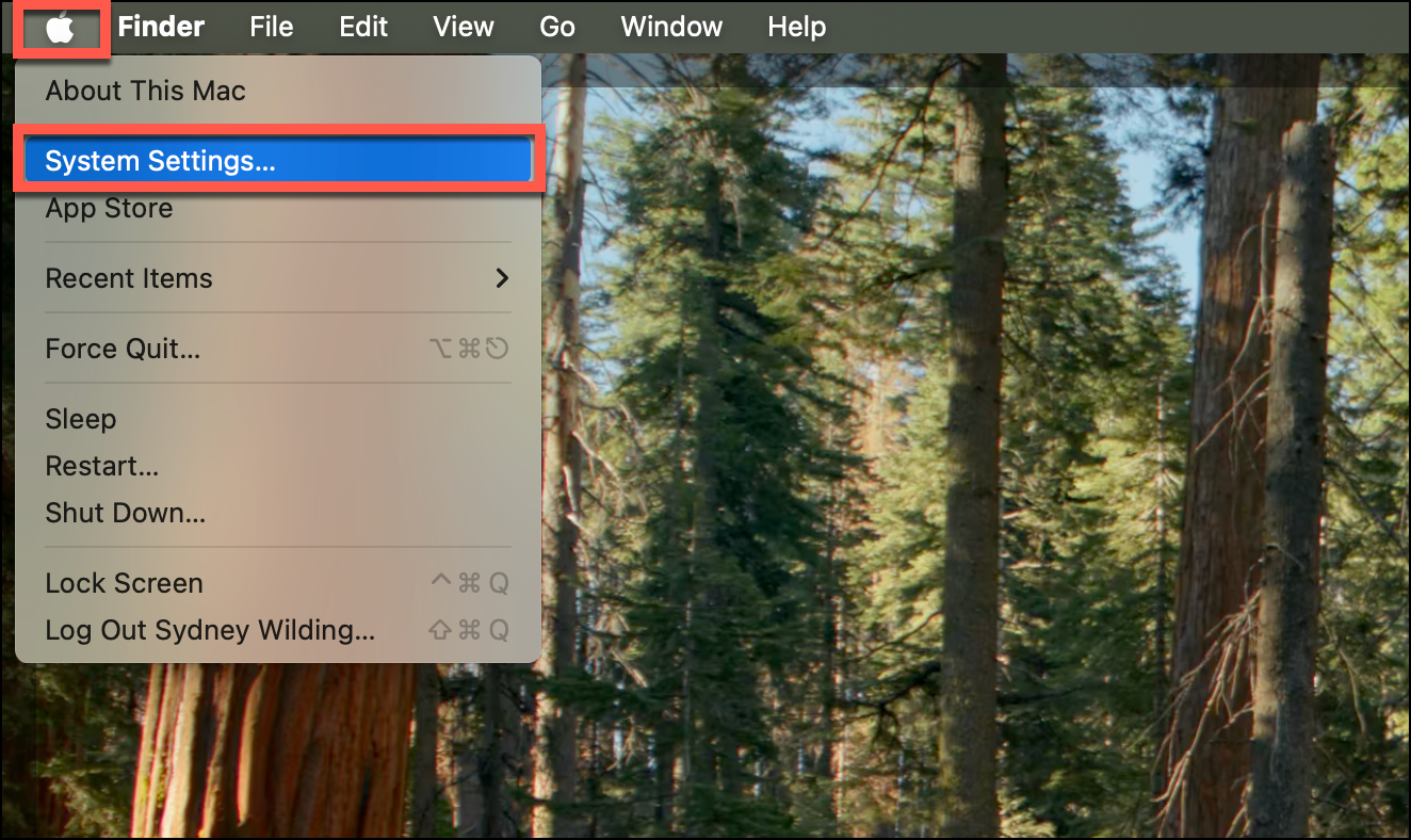 System Settings on macOS 15.png