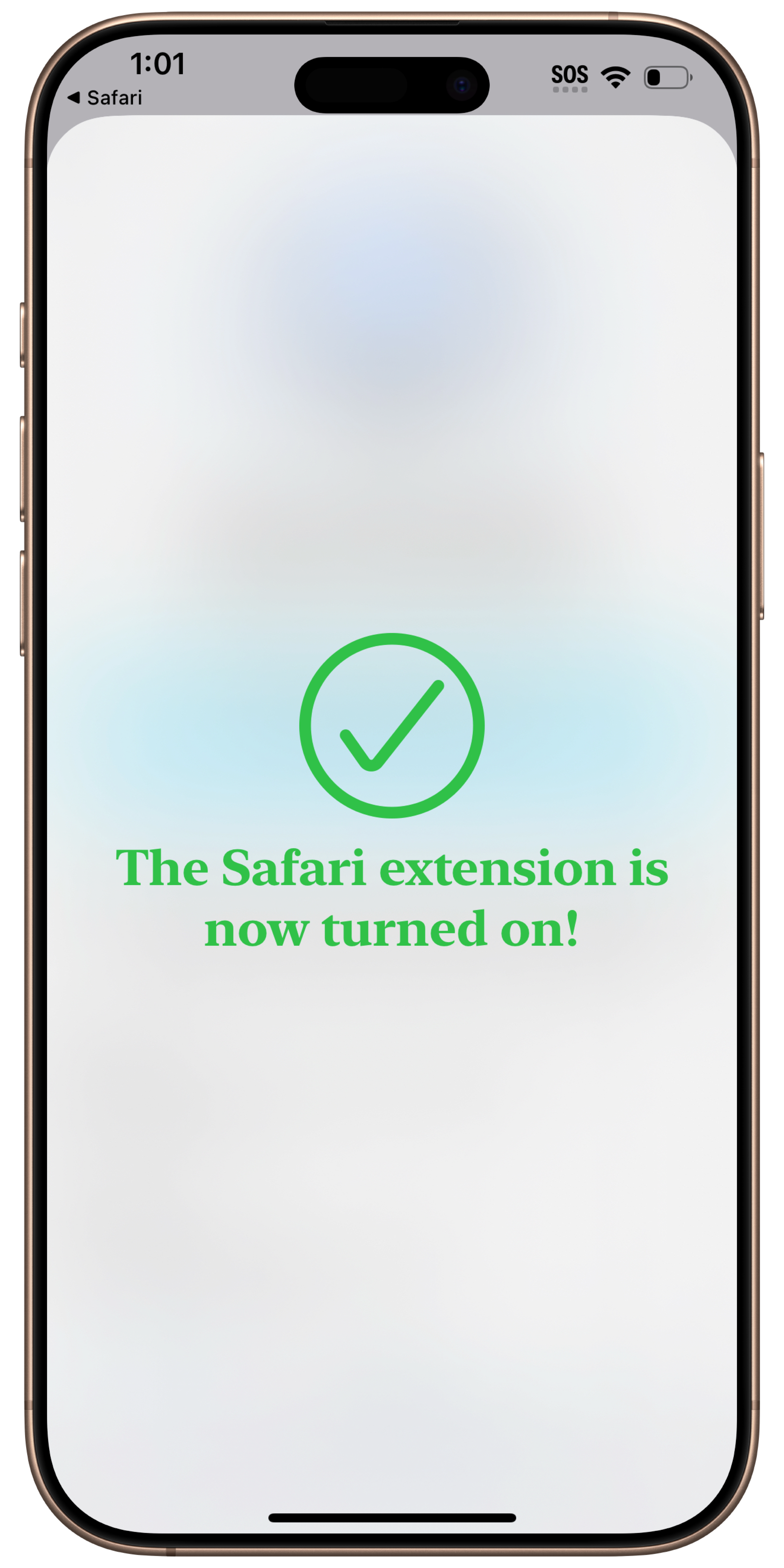 framed-image-0.png