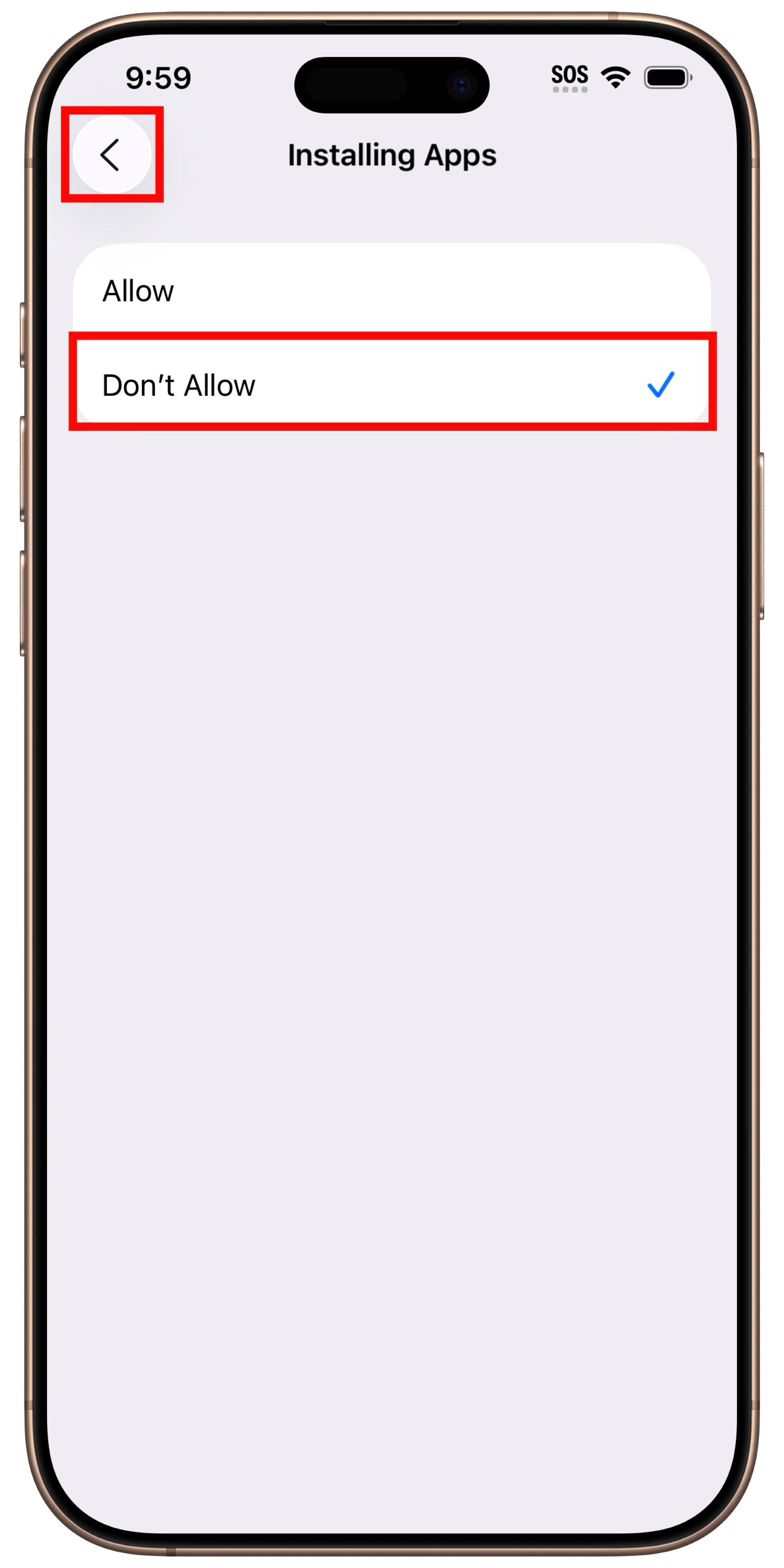 framed-image-1.png