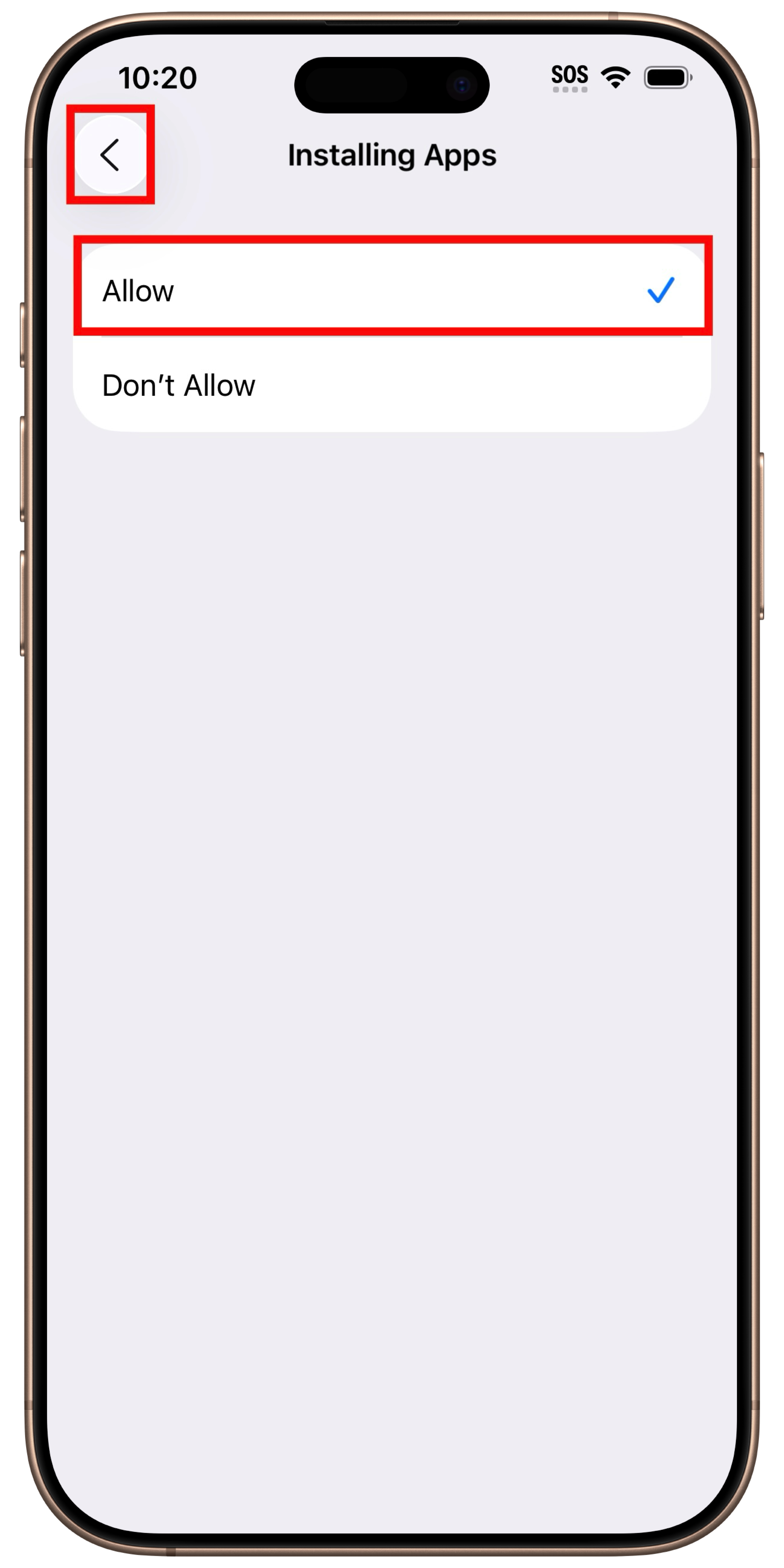 framed-image-1.png