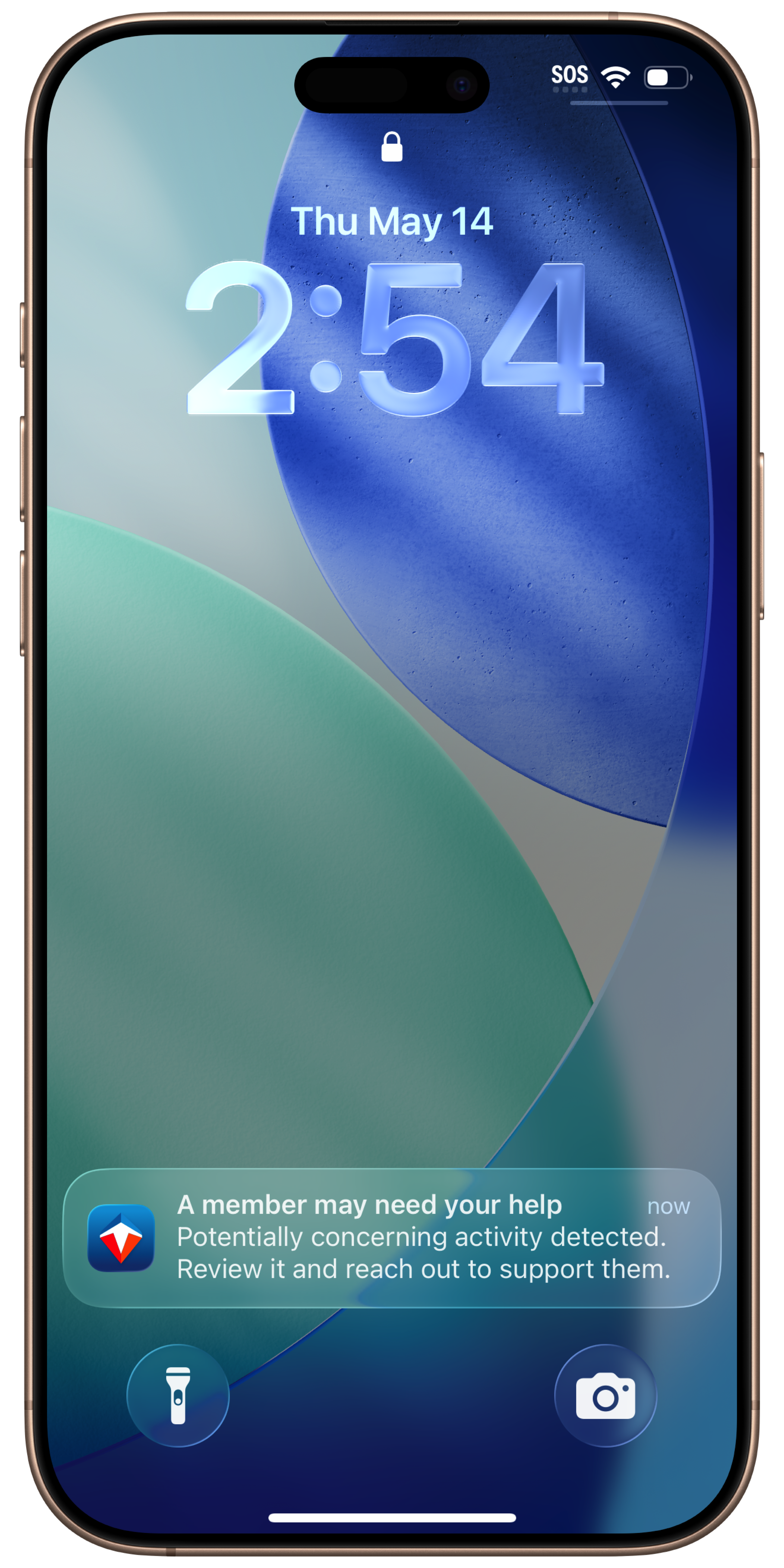framed-image-1.png