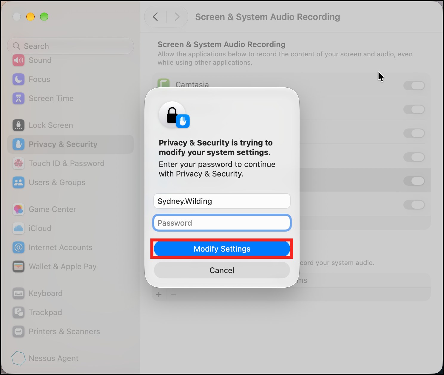 screen and system audio 2.png