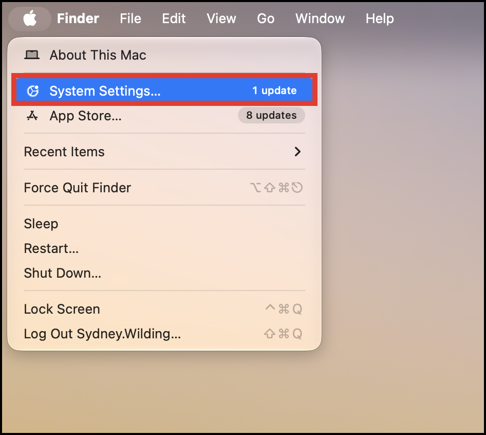 apple > system settings.png