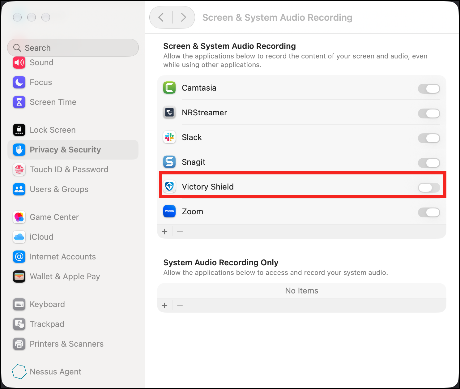 screen and system audio.png