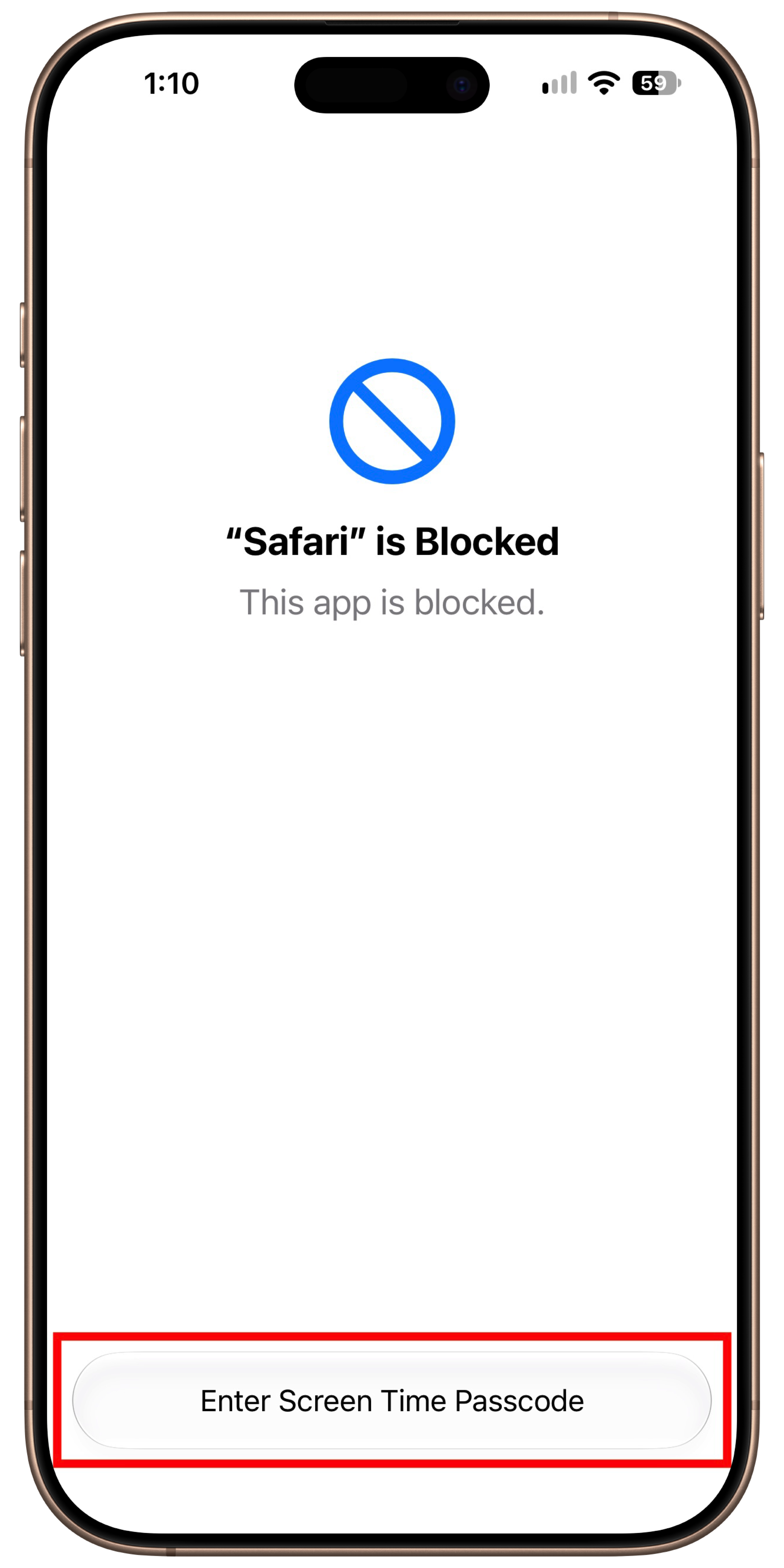 framed-image-1.png